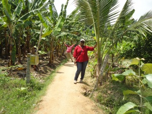 Foot track towards The Mango Tree 